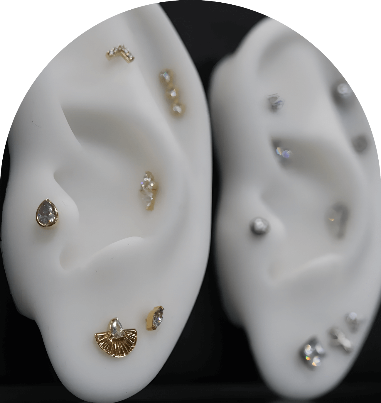 Ear models displaying various elegant piercings.